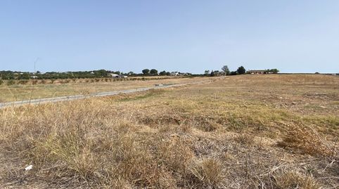 Foto 2 de Finca rústica en venta en Núcleo urbano, Aljaraque