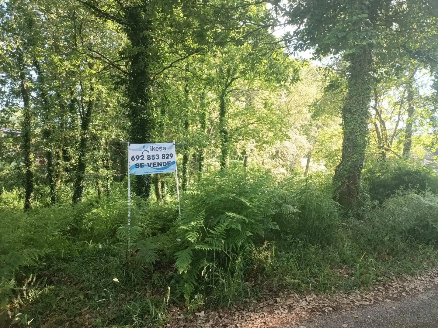 Terreno en venta en Tomiño