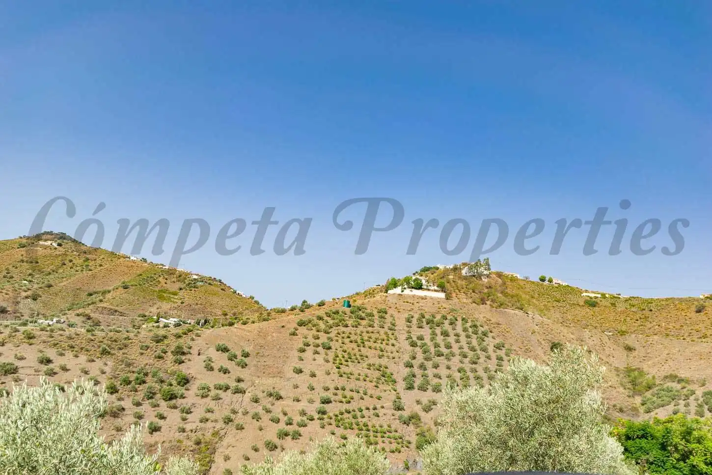 Terreny rústic en venda a Canillas de Albaida, imagen 3