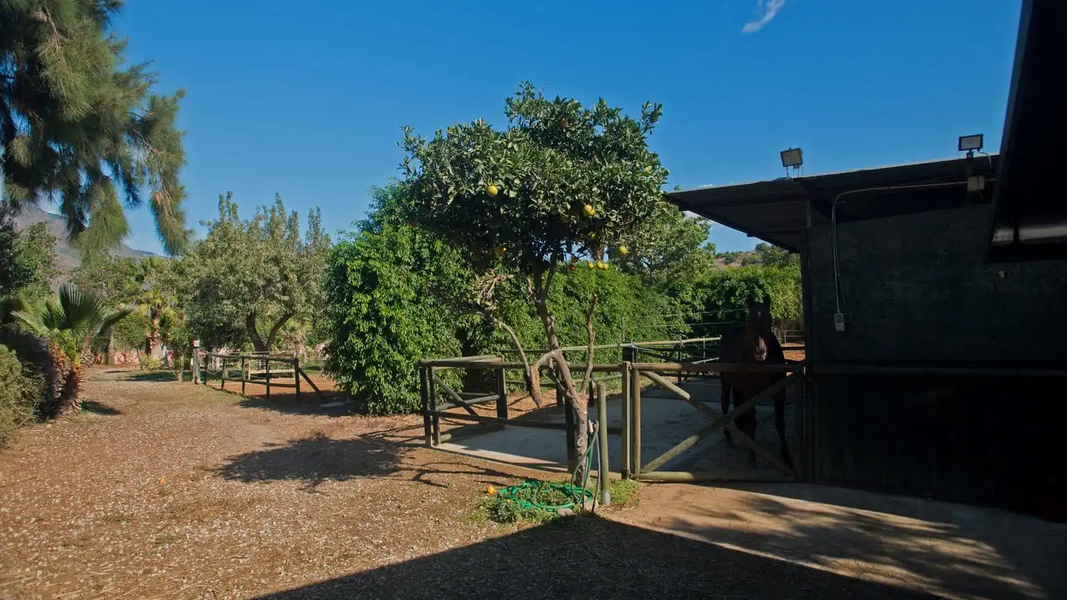 Jardín de Terreno en venta en Estepona
