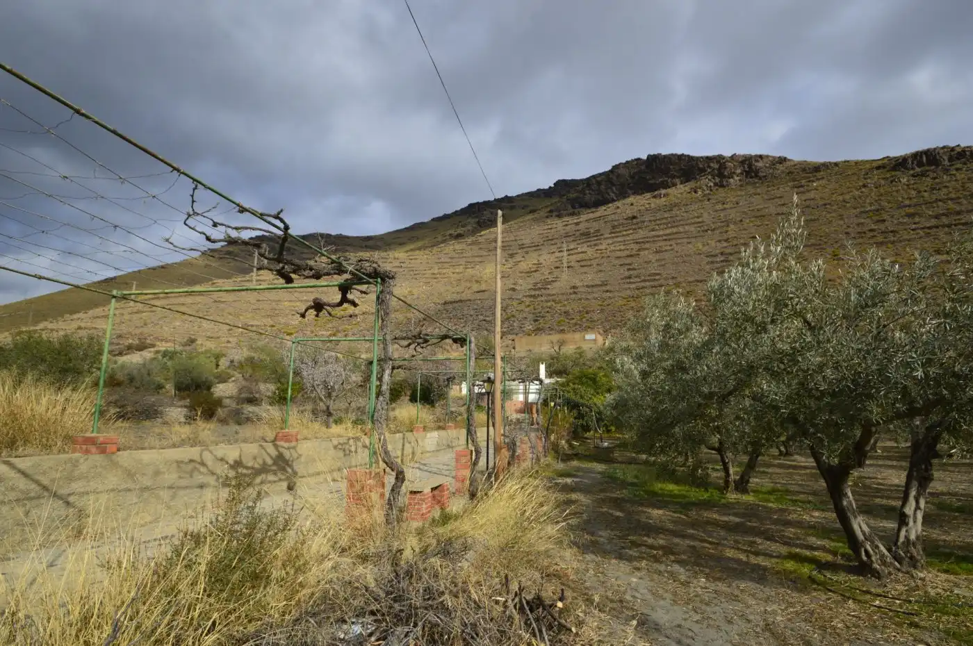 Finca rústica en venta en Gérgal