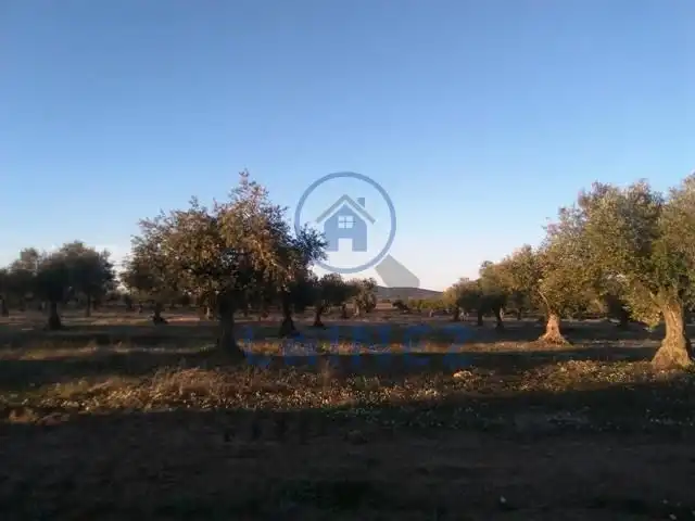 Terreni e lotti in vendita a Valsequillo