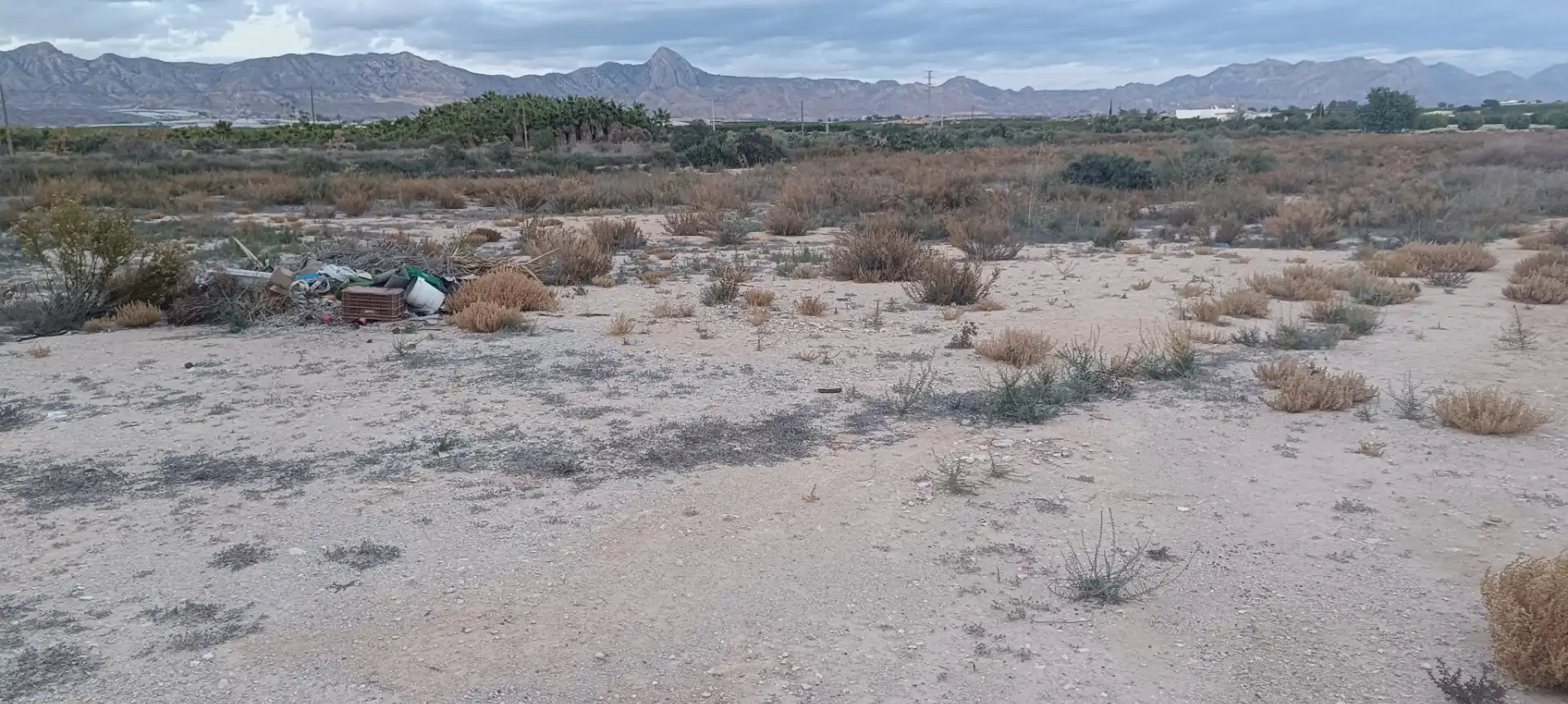 Finca rústica en venda en Elche / Elx amb Jardí privat