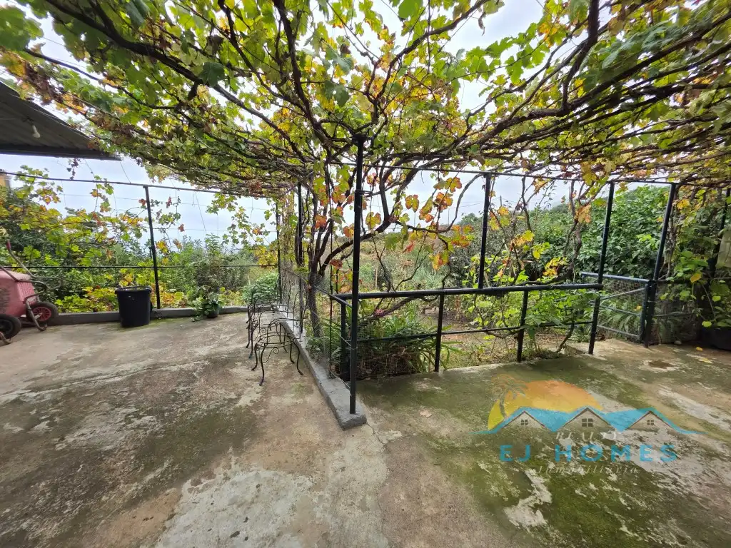 Garden of Houses for sale in La Orotava