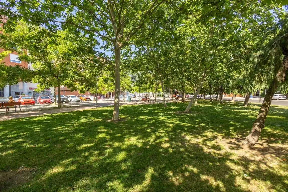 Vista exterior de Casa adosada en venta en Madrid