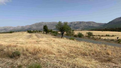 Suelo para inversión rústica y comercial en Almería, immagine 3