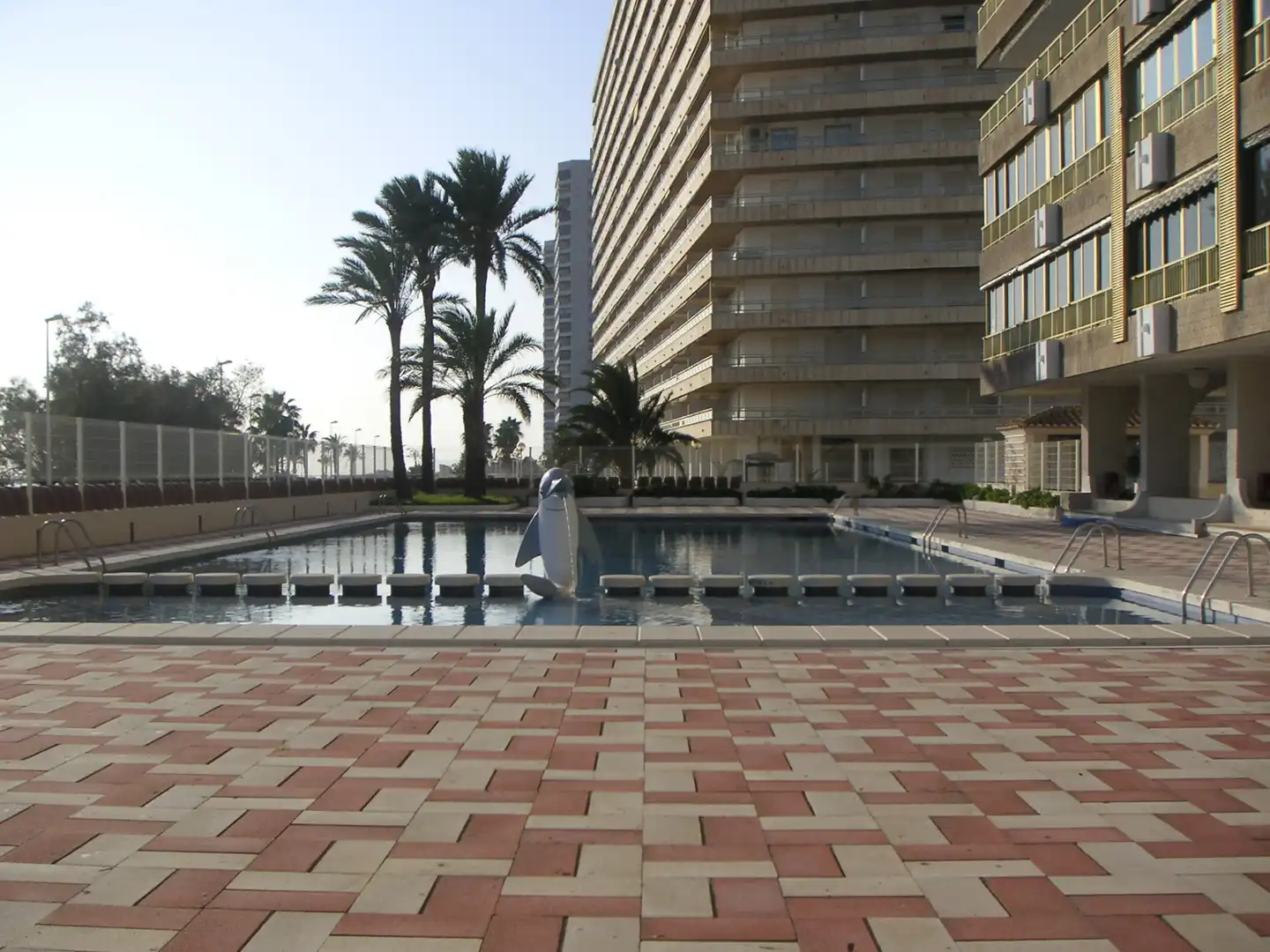 Appartement compact avec terrasse à louer à Avinguda Alacant 13