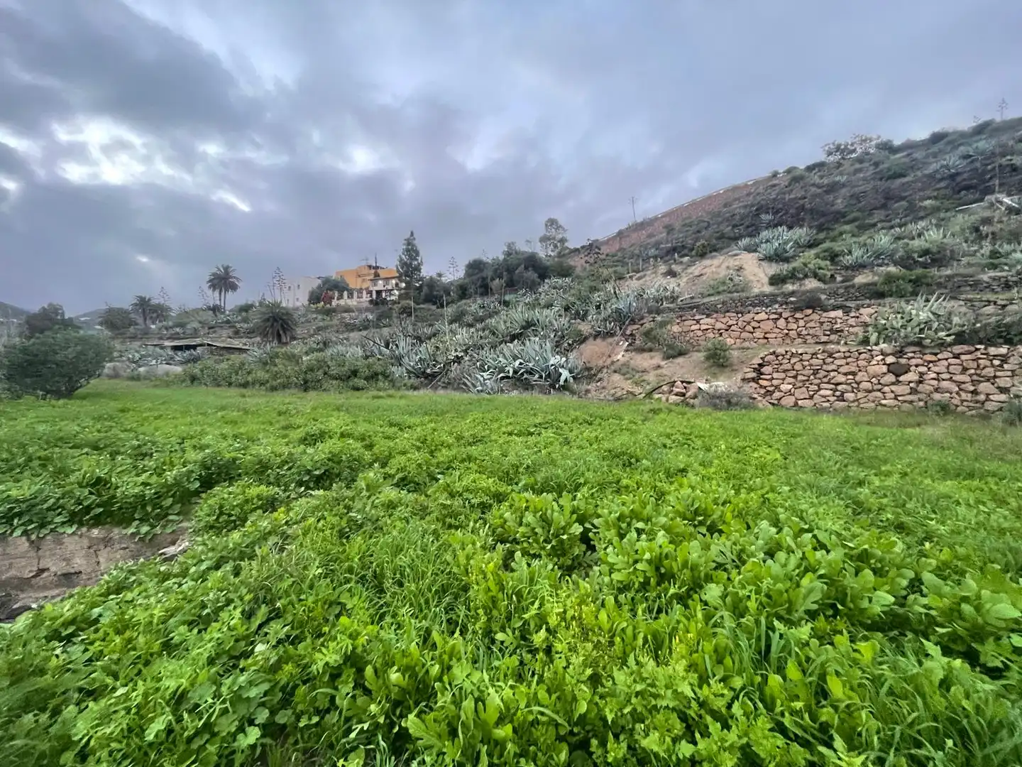 Terreno en venta en Valsequillo de Gran Canaria