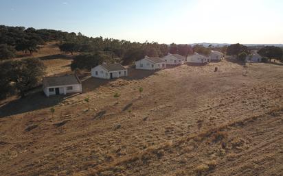 Exterior view of Land for sale in Calañas