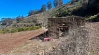 Finca rústica en venda en Moya (Las Palmas)