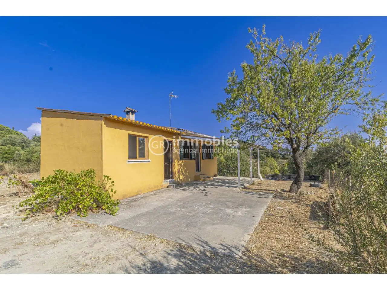 Vista exterior de Casa o xalet en venda en Alaró amb Jardí privat i Terrassa