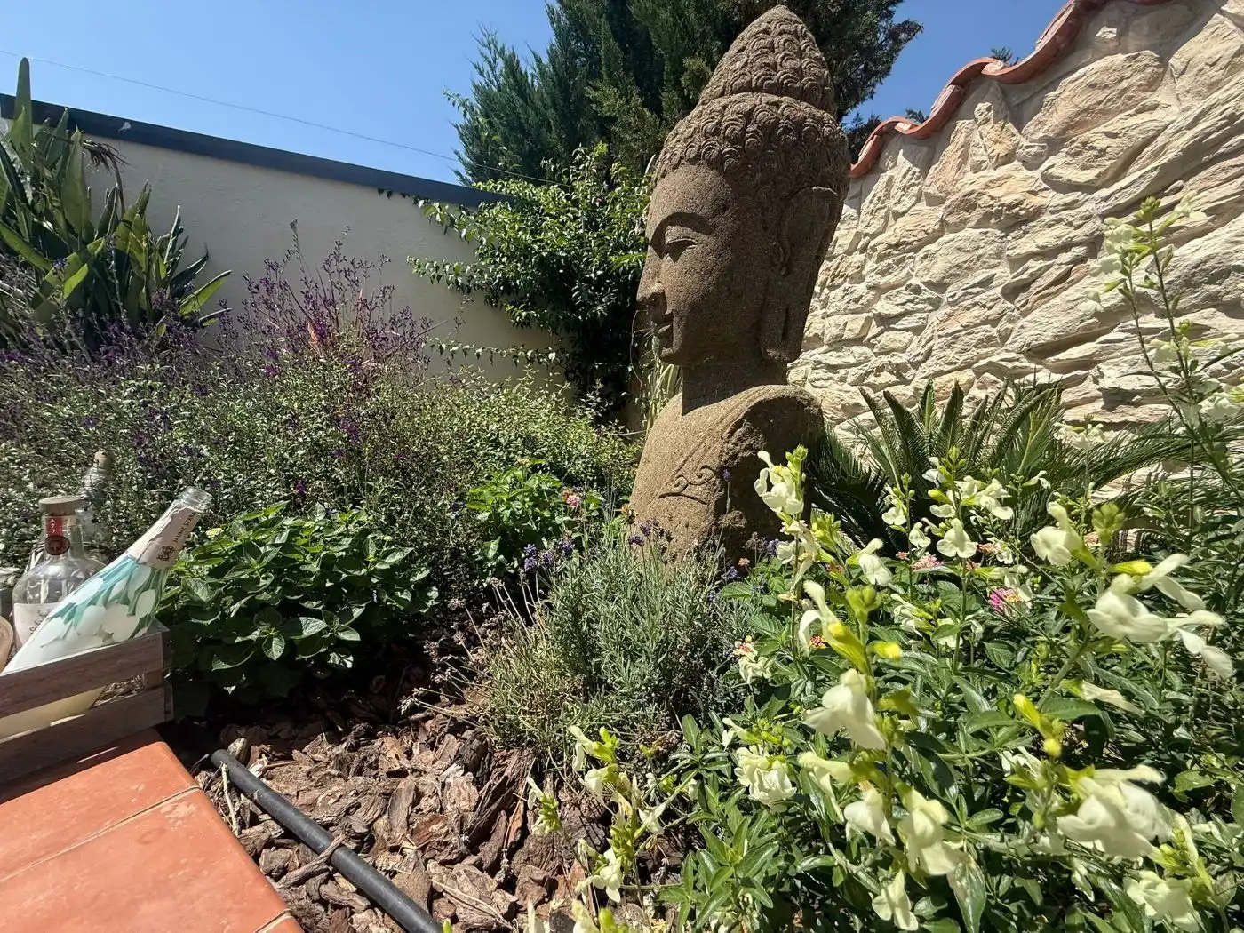 Jardí de Casa o xalet en venda en Castelló d'Empúries amb Aire condicionat, Calefacció i Jardí privat