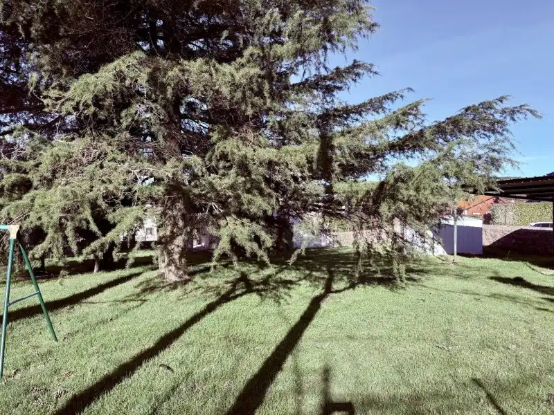 Garden of Houses for sale in El Espinar  with Storage room and Balcony
