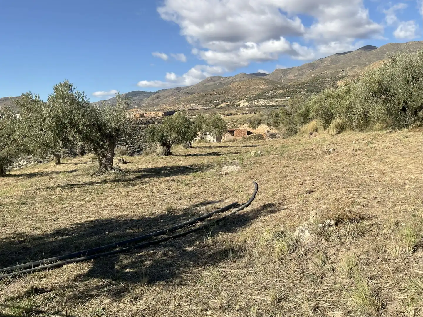 Land for sale in Padules