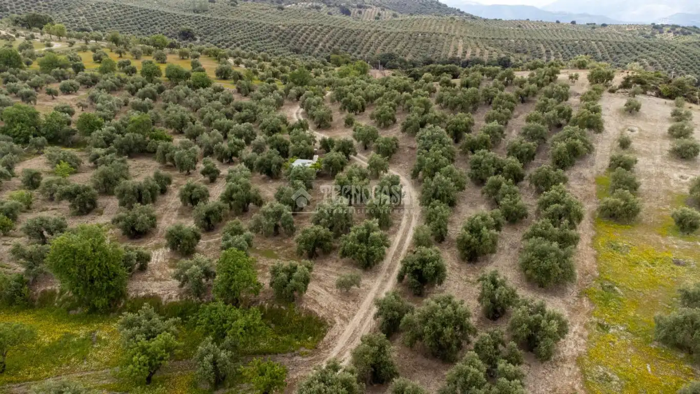 Terreni e lotti in vendita a Albaicín, imagen 37
