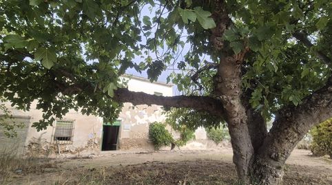 Foto 4 de Finca rústica en venta en Tobarra, Albacete