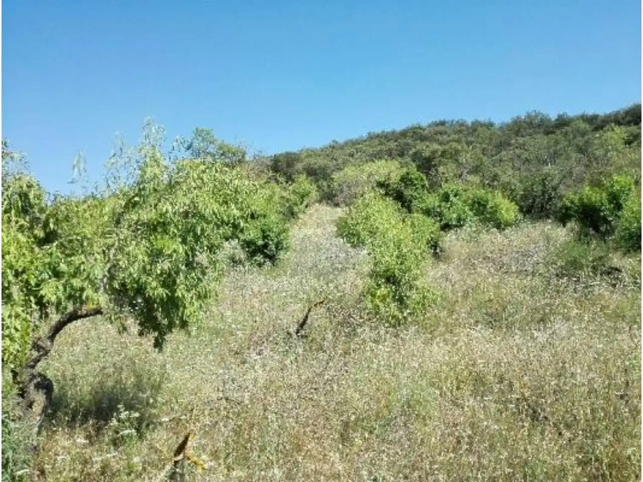 Terreno en venta en Lascellas-Ponzano