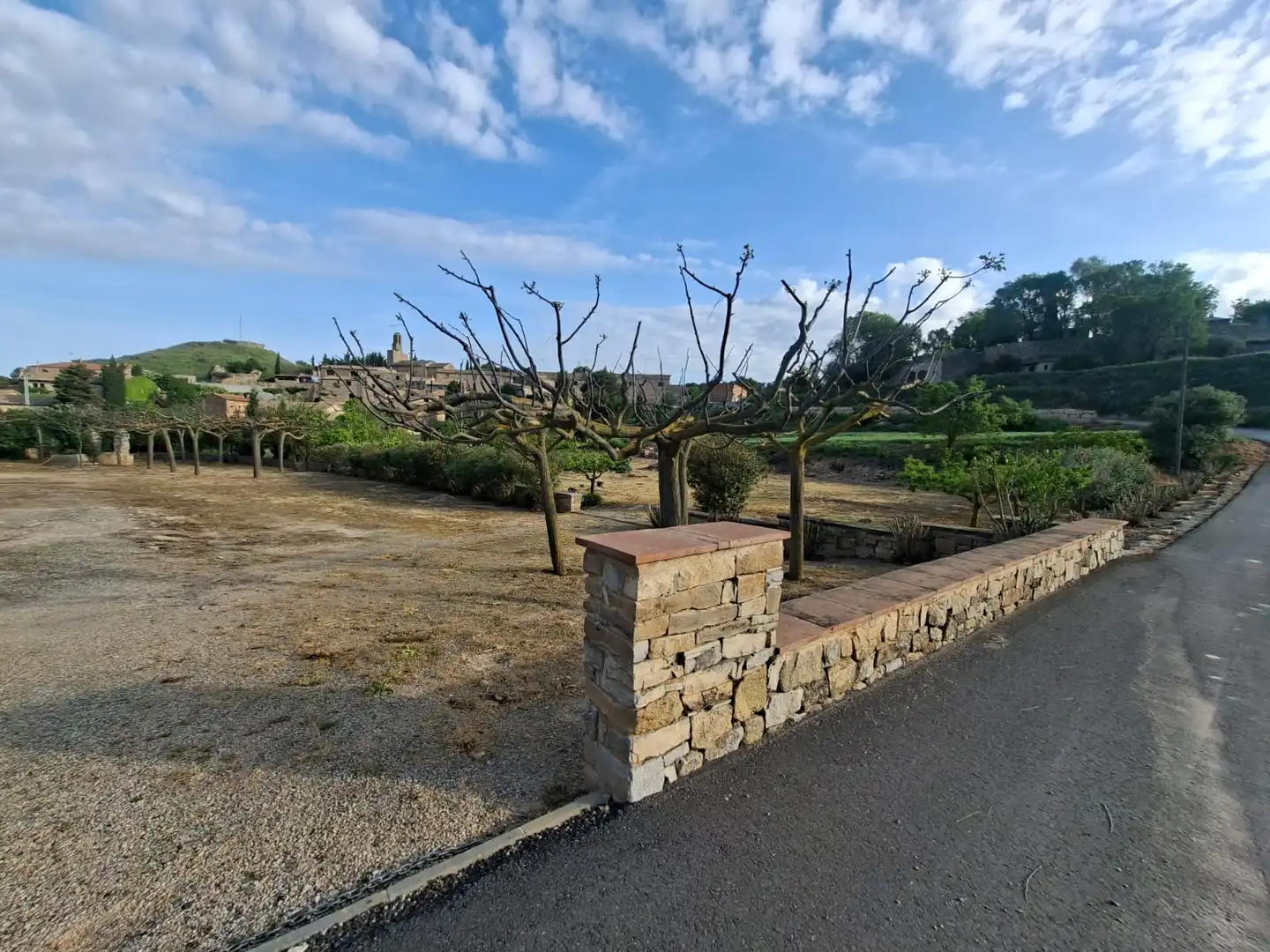 Terreno rústico en venta en Vallbona de Les Monges, imagen 40