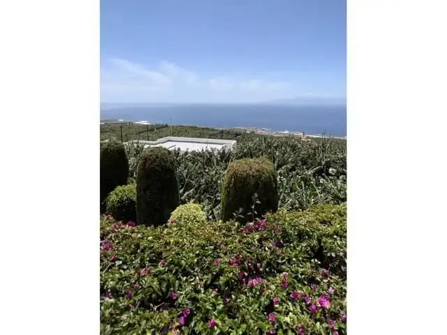 Jardí de Casa o xalet en venda en Guía de Isora