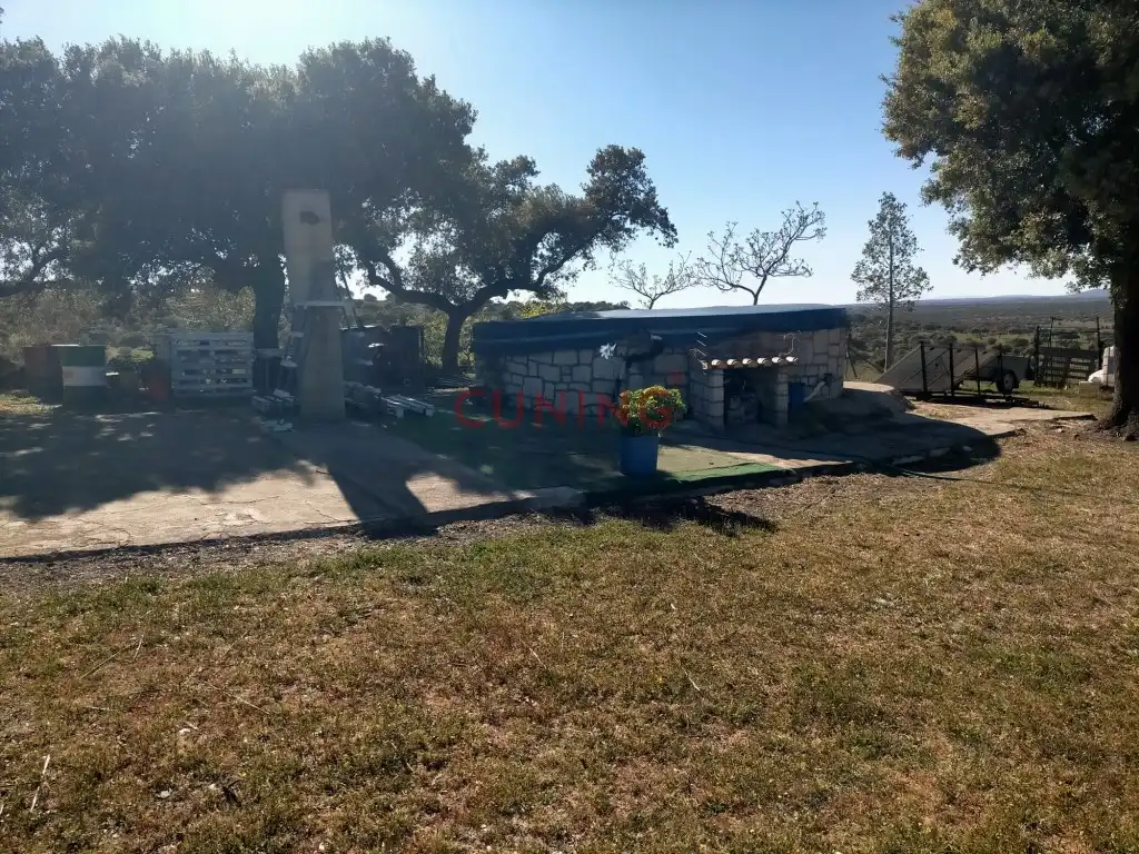 Casa rustica in vendita a Poligono 2 Paraje 95 Dehesa Boyal, imagen 6