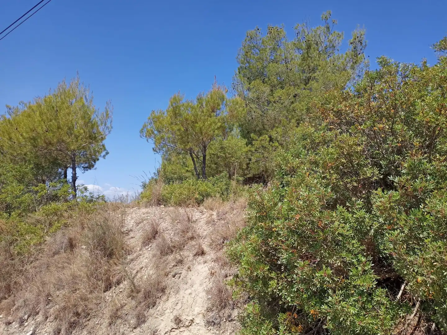 Residencial en venda en Olesa de Montserrat