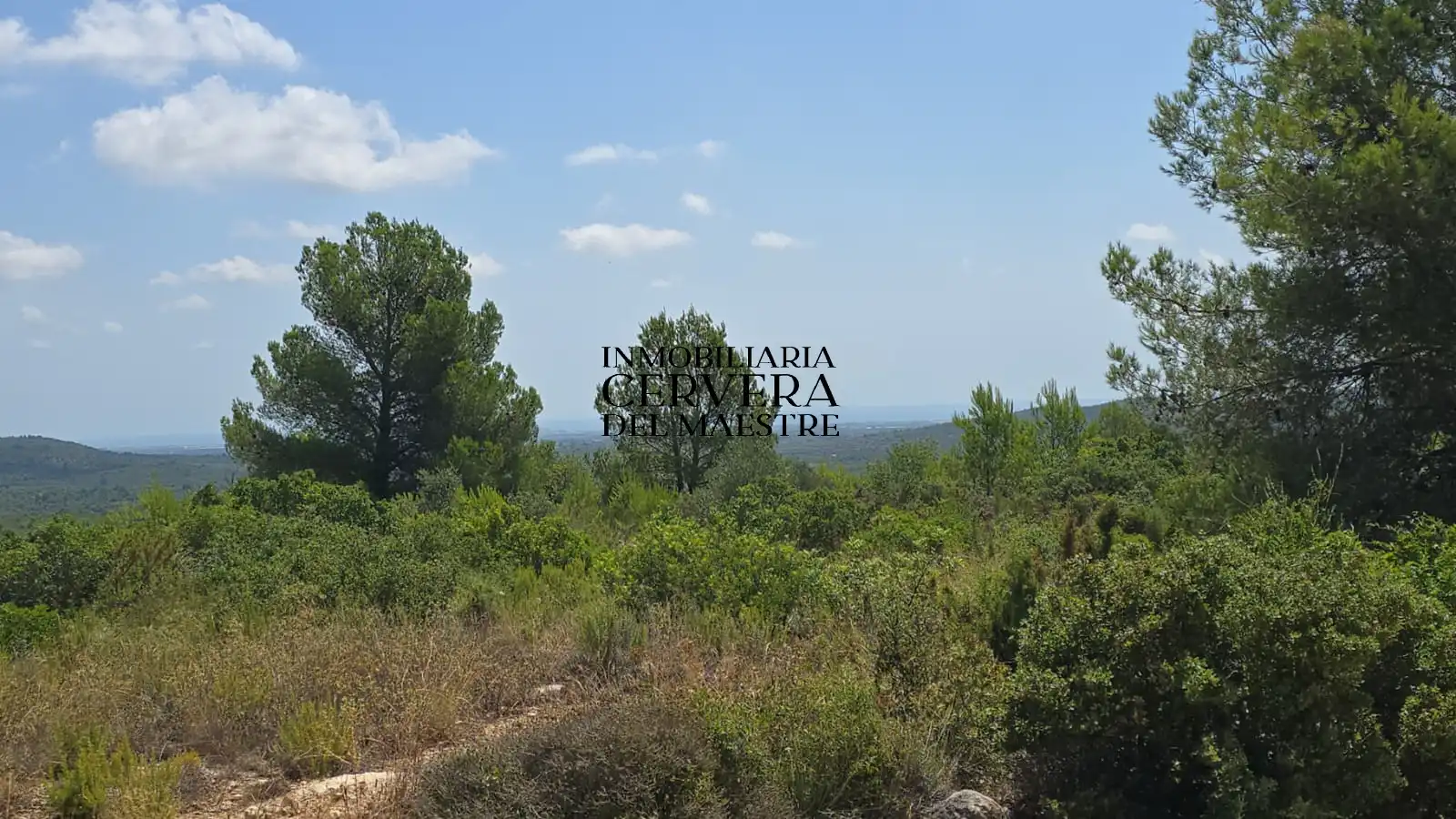 Rural land for sale in Cervera del Maestre, imagen 23