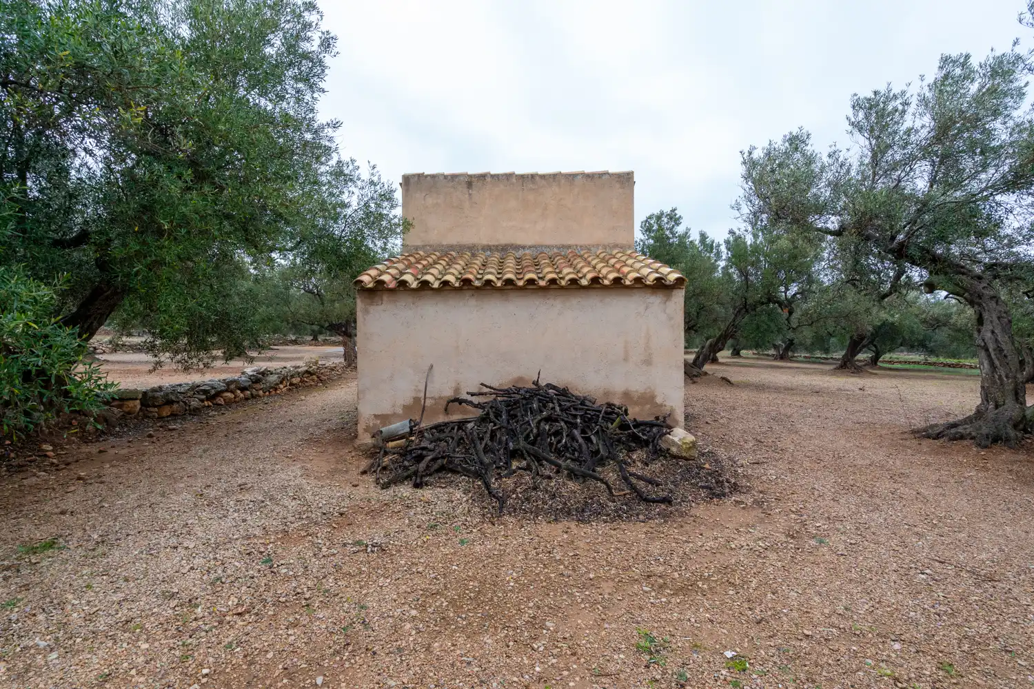 Terreno rustico in vendita a Cami de Pandorga 1, imagen 7