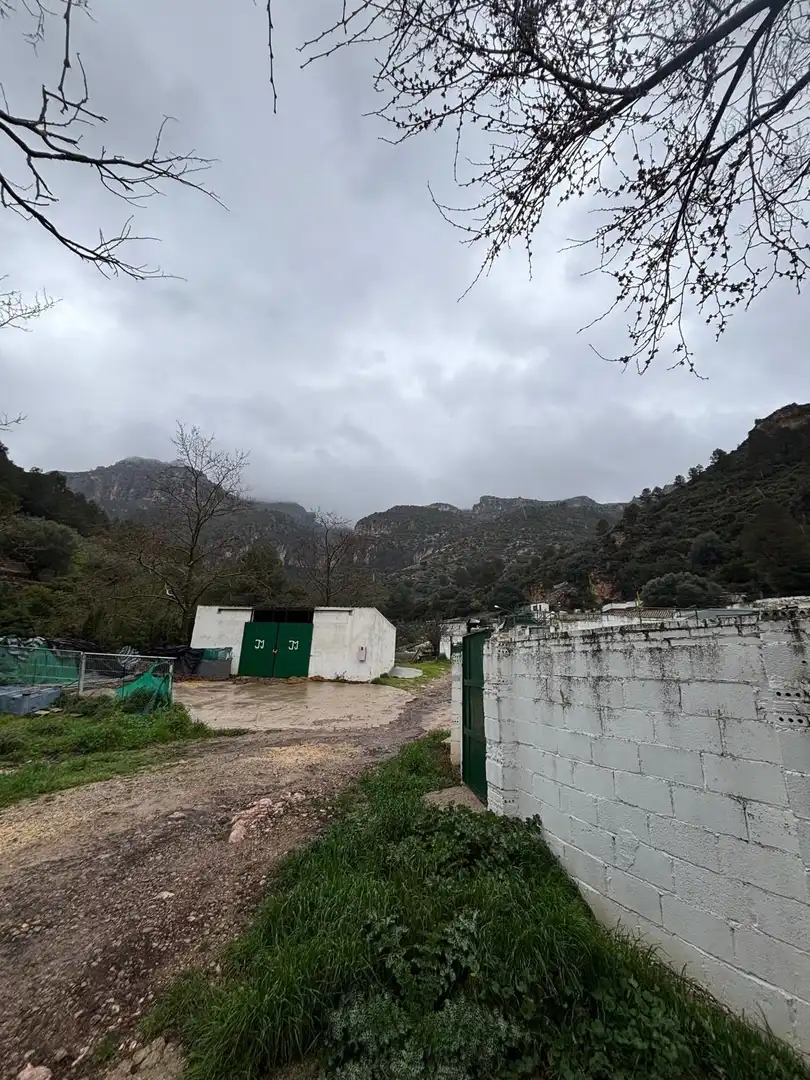 Vista exterior de Local en venda en Alfara de Carles amb Moblat