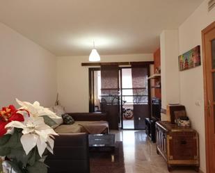 Living room of Flat for sale in Alicante / Alacant