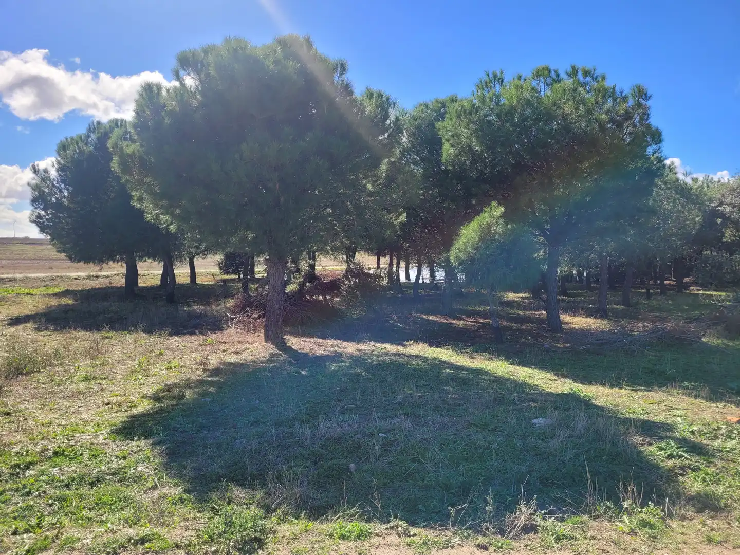 Rural land for sale in Santo Domingo-Caudilla, imagen 3