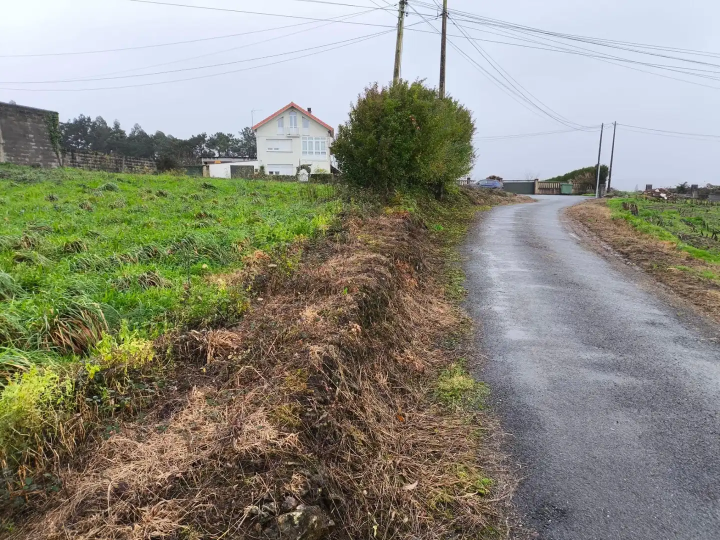 Terreni e lotti in vendita a Lugar Rabadeira, Seavia, imagen 2