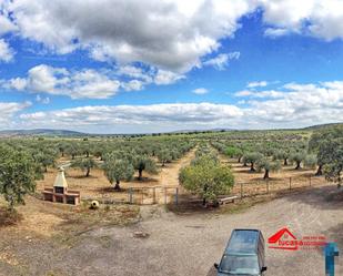 Finca rústica en venda en La Granjuela