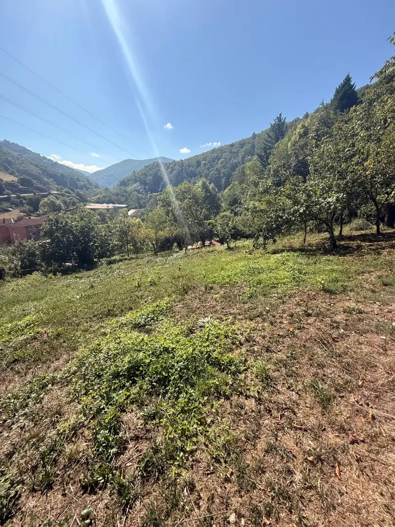Maison jumelée avec jardin à vendre à Quirós, imagen 36