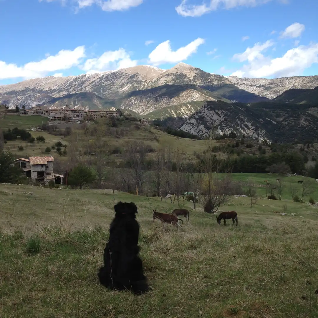Vista exterior de Finca rústica en venta en Gósol con Calefacción, Jardín privado y Trastero
