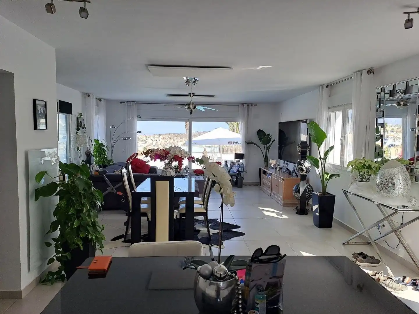 Sala d'estar de Casa o xalet en venda en Rojales