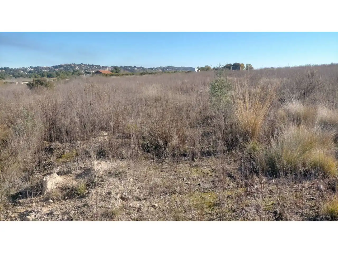 Rural land for sale in Poligono 13, imagen 13