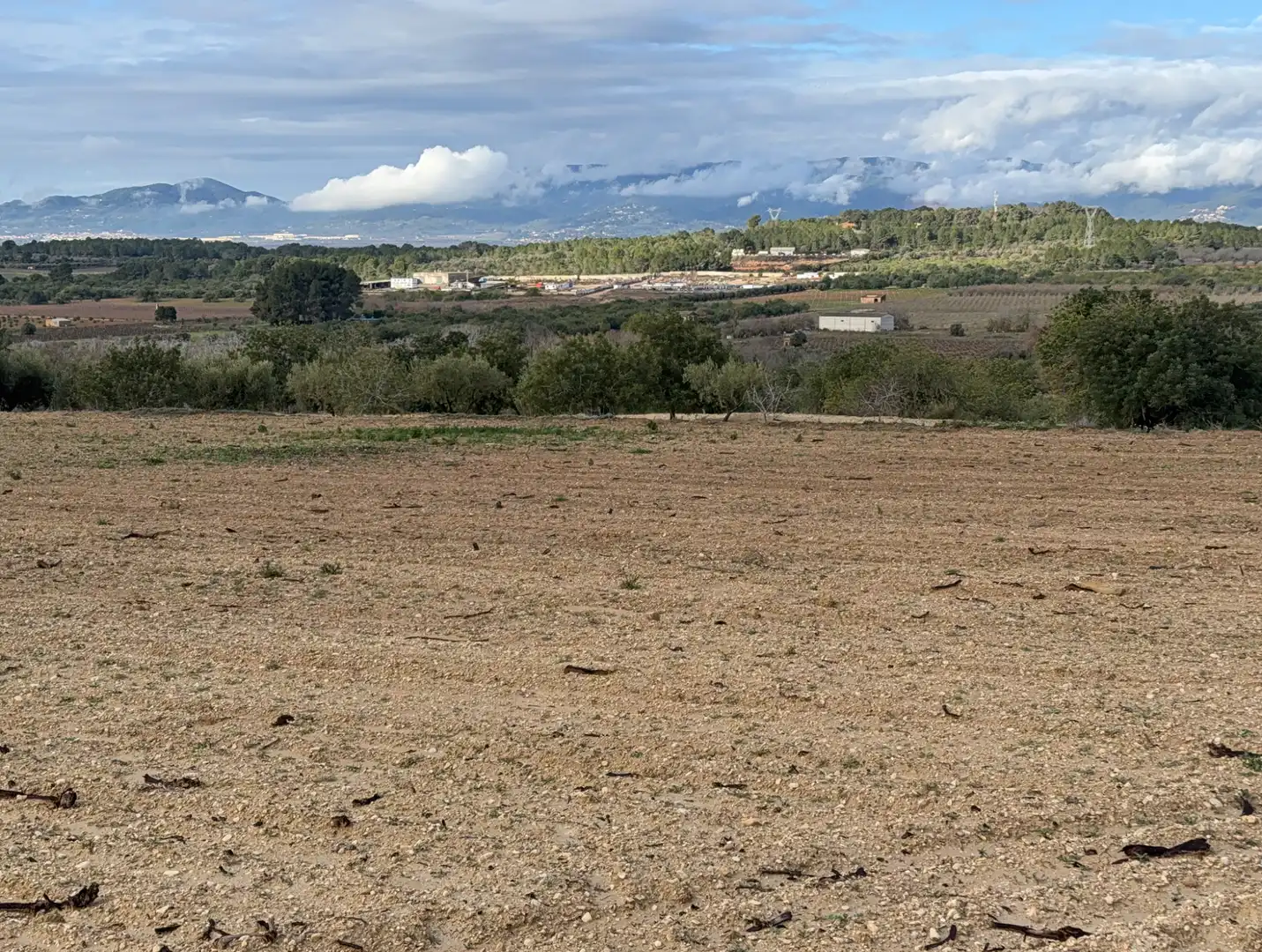 Terrain rustique à vendre à Cami Futbol 14A, imagen 2