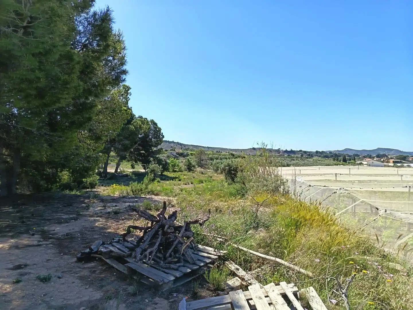 Terreno rústico en venta en Monforte del Cid, imagen 6