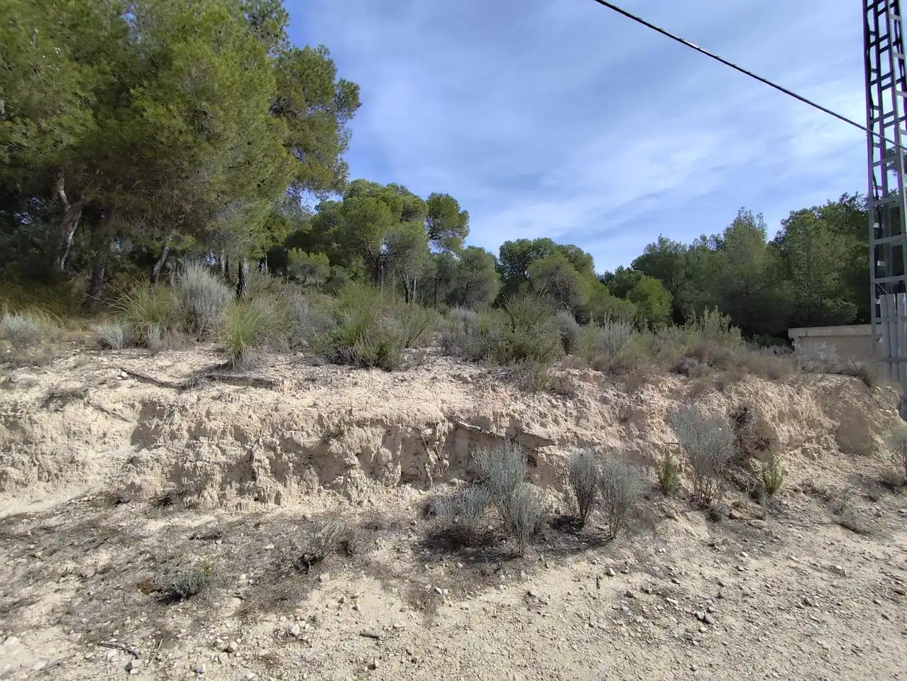 Terrenys i solars en venda a Tibi