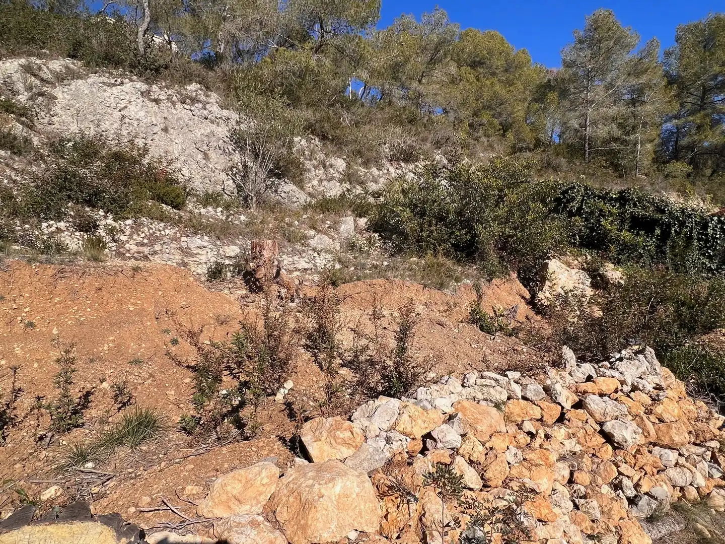 Residential land for sale in Olivella, imagen 15