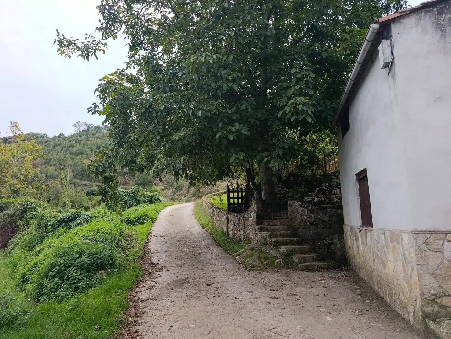 Rustikales Grundstück zum Verkauf in Carretera Piñera (Noriega) 0, imagen 68