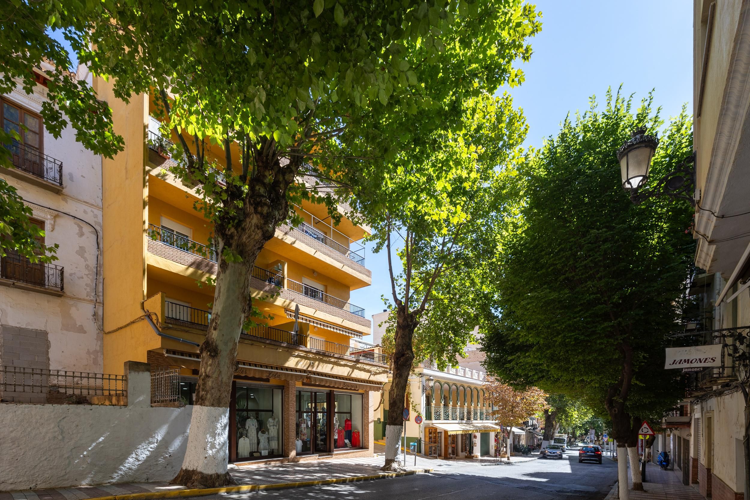 Exterior view of Flat for sale in Lanjarón