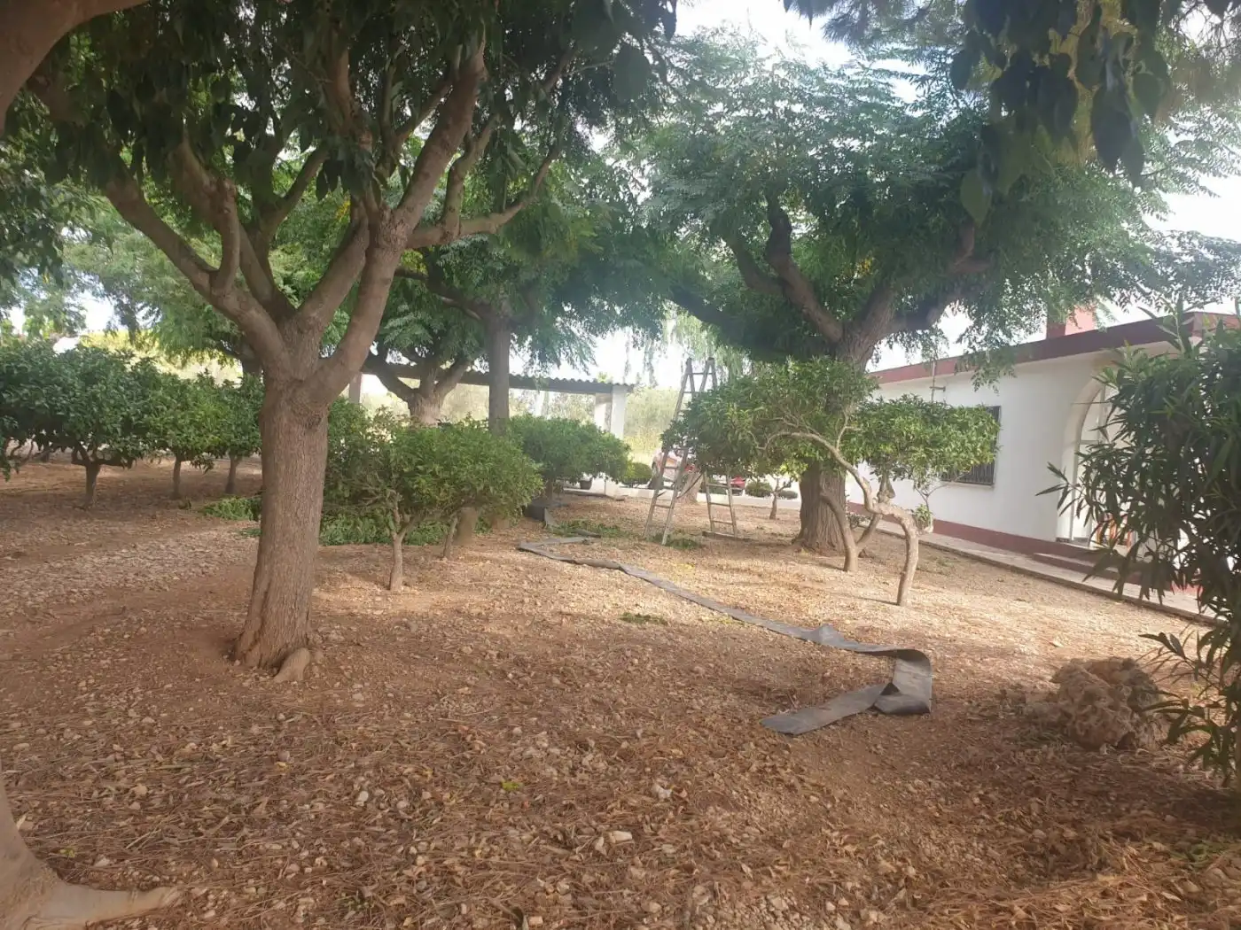 Jardí de Finca rústica en venda en Vinaròs amb Jardí privat, Traster i Piscina