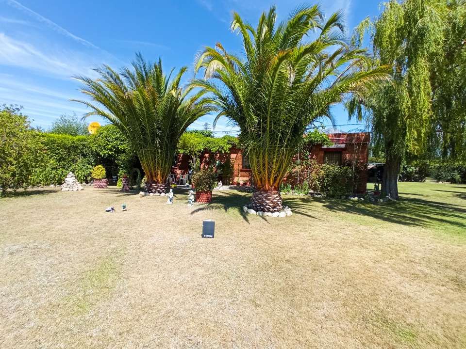 Garden of House or chalet for sale in Laguardia  with Private garden
