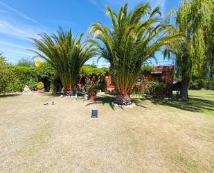 Jardí de Casa o xalet en venda en Laguardia