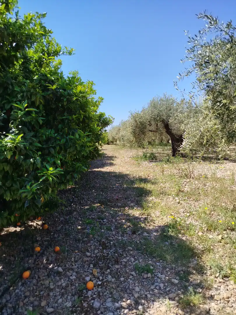 Terreno residencial en venta en Pueblo, imagen 56