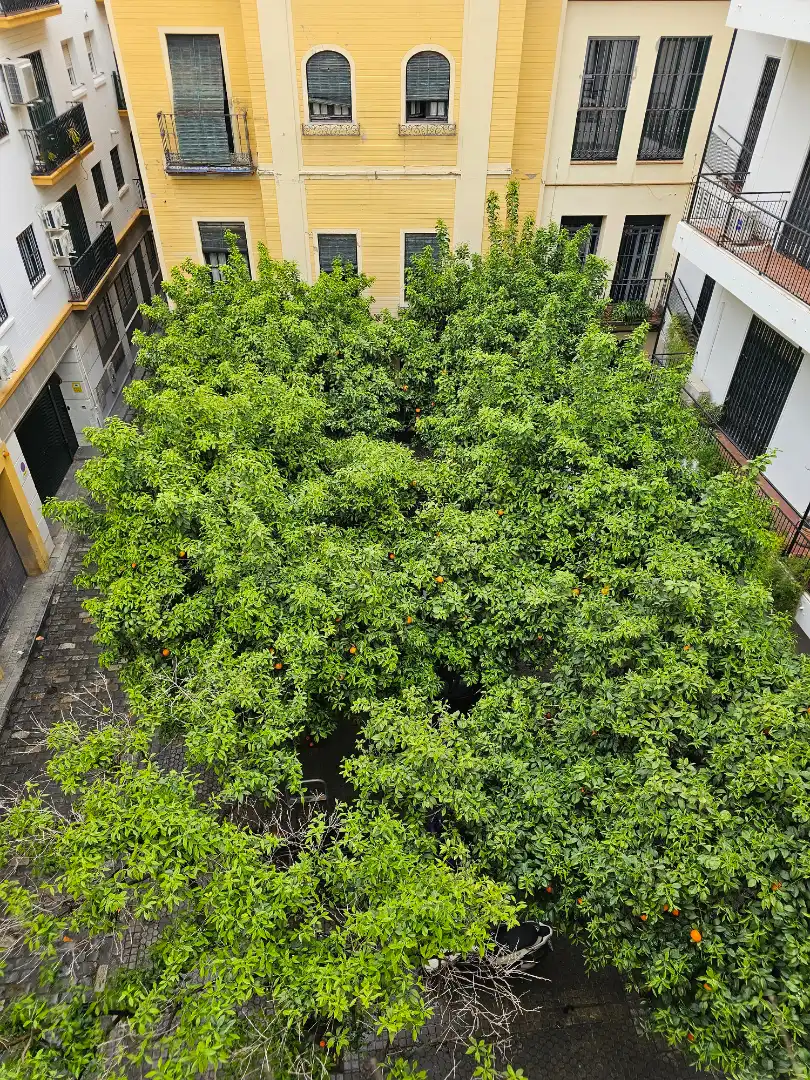 Garden of Flat for sale in Sevilla  with Air Conditioner, Heating and Storage room