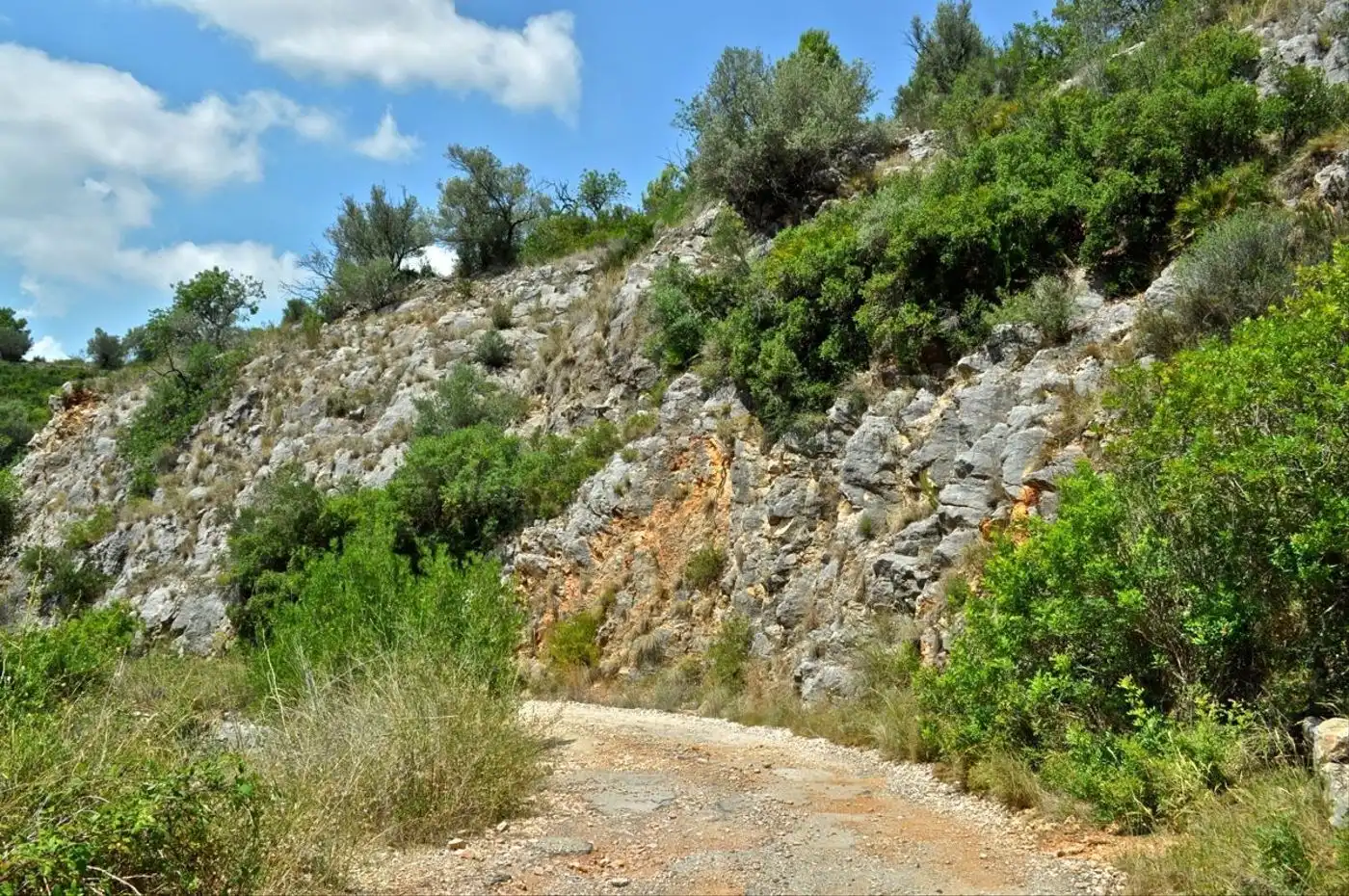 Land for sale in Camí del Barranc de la Llet, 26, Sant Llàtzer