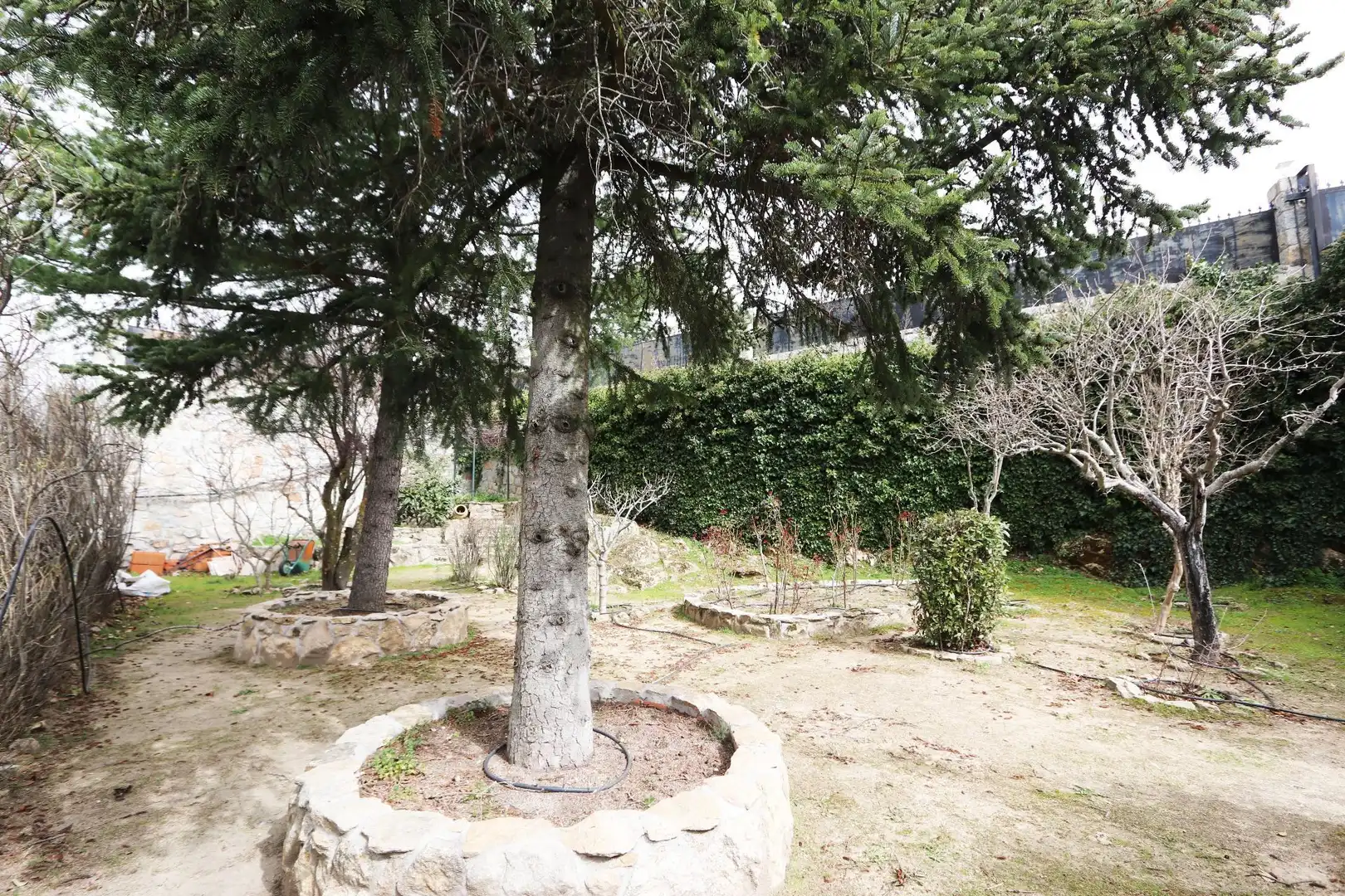 Jardín de Casa o chalet en venta en Colmenarejo con Calefacción, Terraza y Trastero