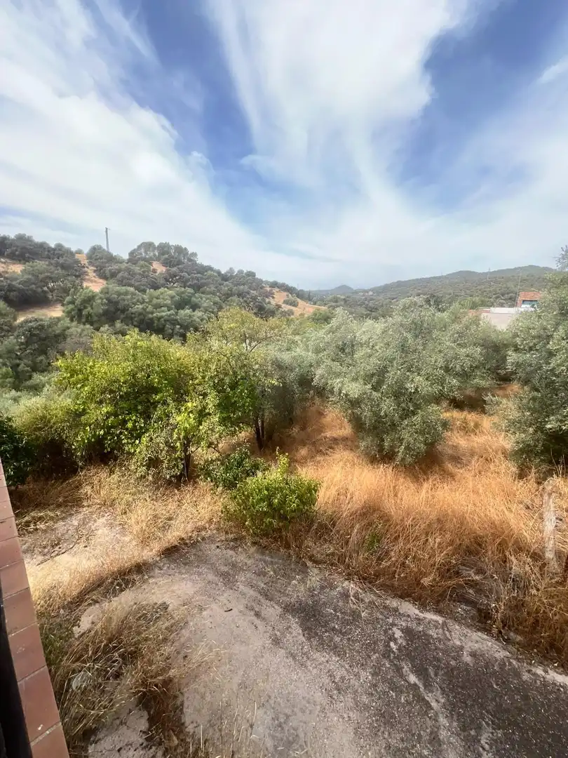 Villa con terrazza in vendita a ENCINARES DE ALCOLEA, imagen 4